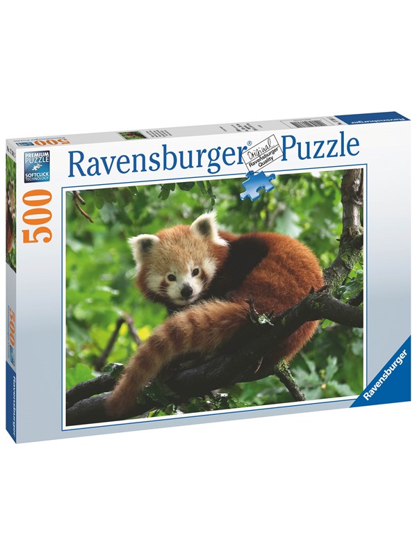 Ravensburger AT: Red Panda Foto 500p