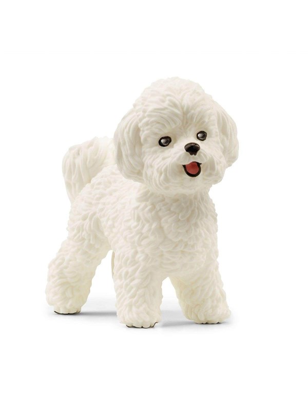 Schleich Bichon frisé