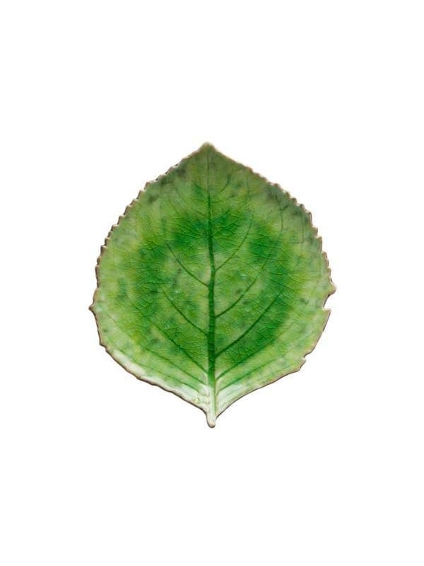 Costa Nova Lautasortimentin Hortensia Riviera 22 x 19 cm Vihreä/Musta Keramiikka