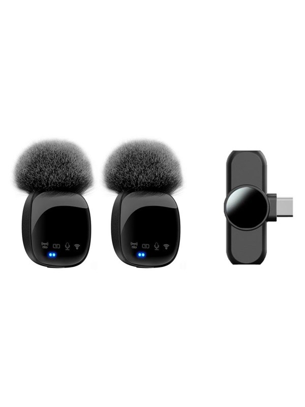 Lippa Dual Wireless Wind Protected Microphone With USB-C Connector