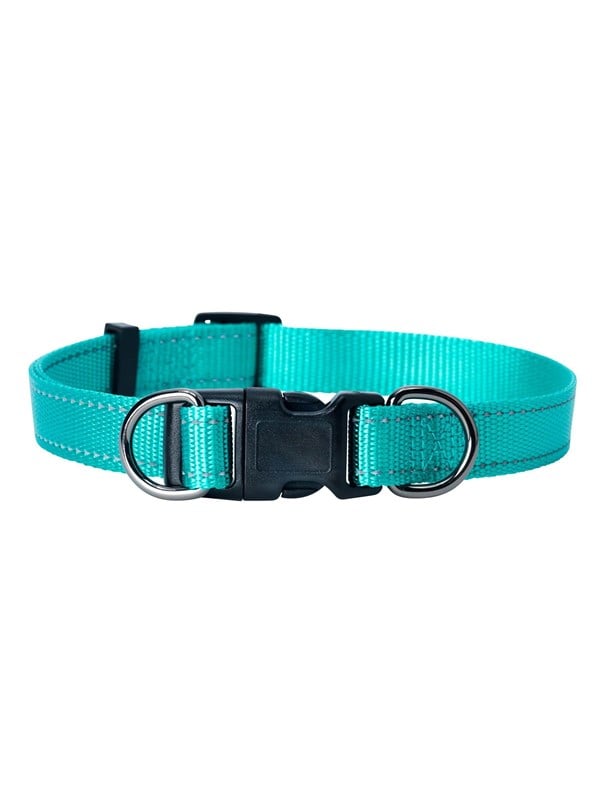 Dogman Nylon Koiran Kaulapanta Iris Turkoosi Pieni 10mmx22-35cm