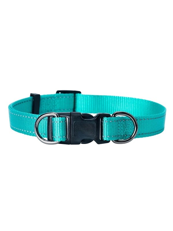 Dogman Nylon Koiran Kaulapanta Iris Turkoosi Iso 20mmx35-60cm