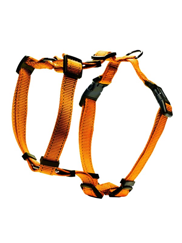Dogman H-valjas Iris oranssi 20mm