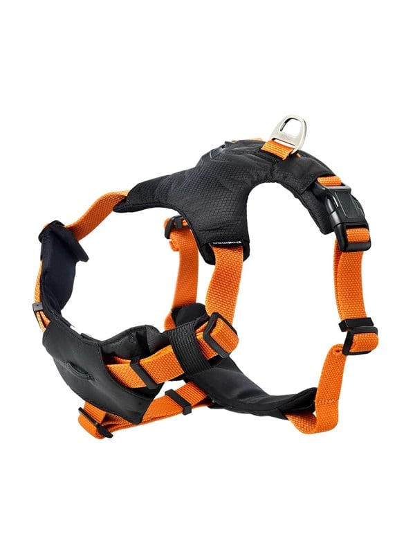 Dogman Sporttivaljas Emmi oranssi XL