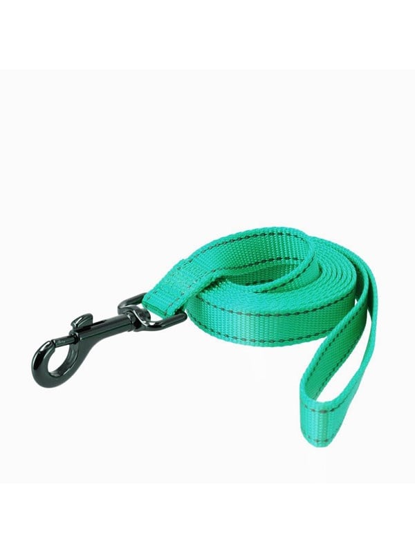 Dogman Reflective Nylon Dog Leash Iris Turquoise L 25mm 180cm