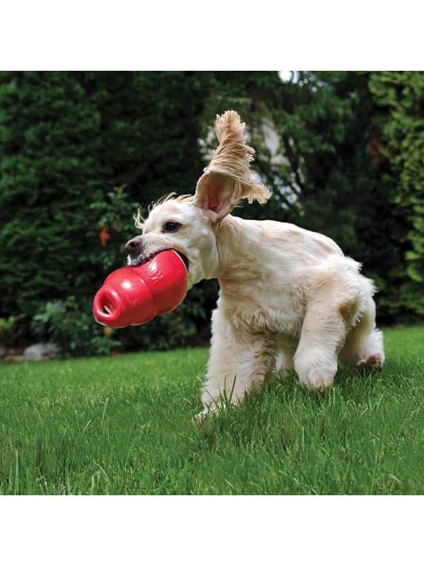 KONG Dog Toy Bounzer Medium 15cm