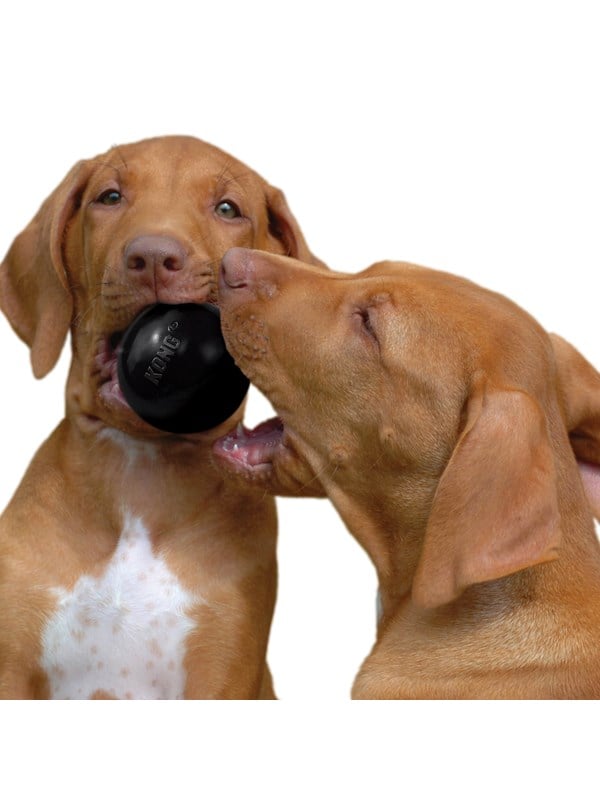 KONG Dog Toy Extreme Ball Medium/Large 7.5cm