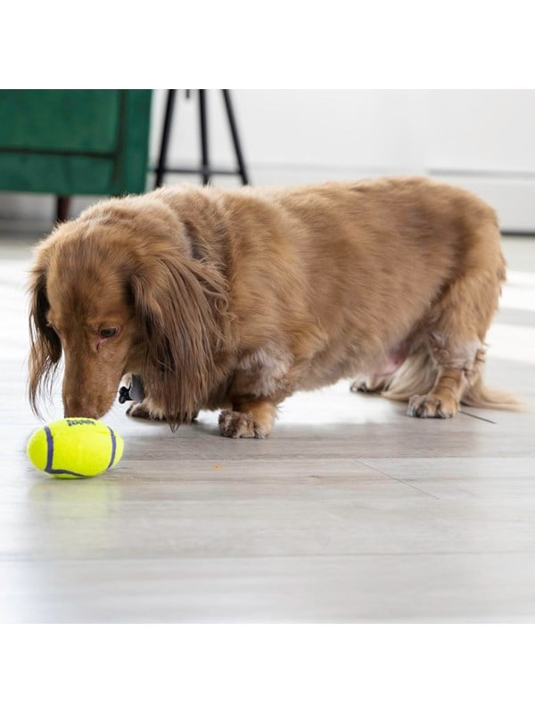 KONG Koiran lelu AirDog Squeaker Football Small 8cm