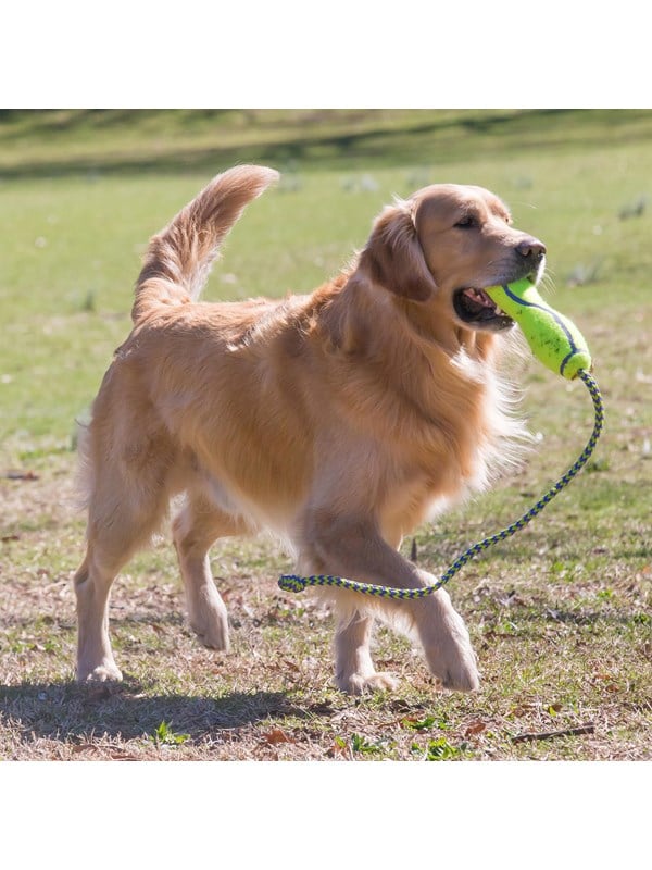 KONG Koiranlelu Airdog Fetch Stick köydellä