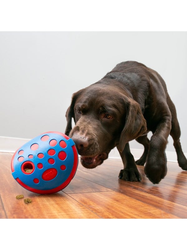 KONG Activation Toy Rewards Wally