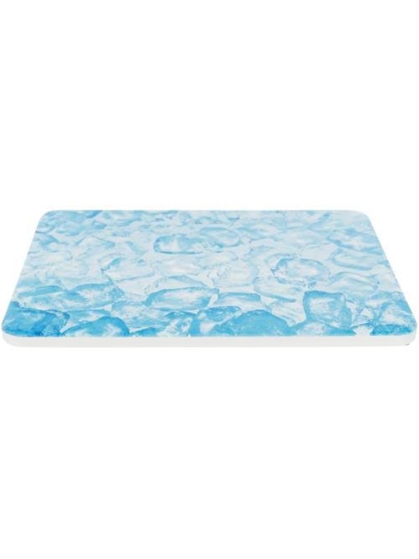 Trixie Cooling Plate 20x15 cm blue