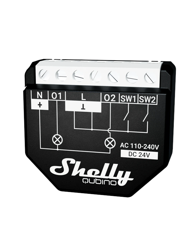 Shelly Qubino Wave 2PM
