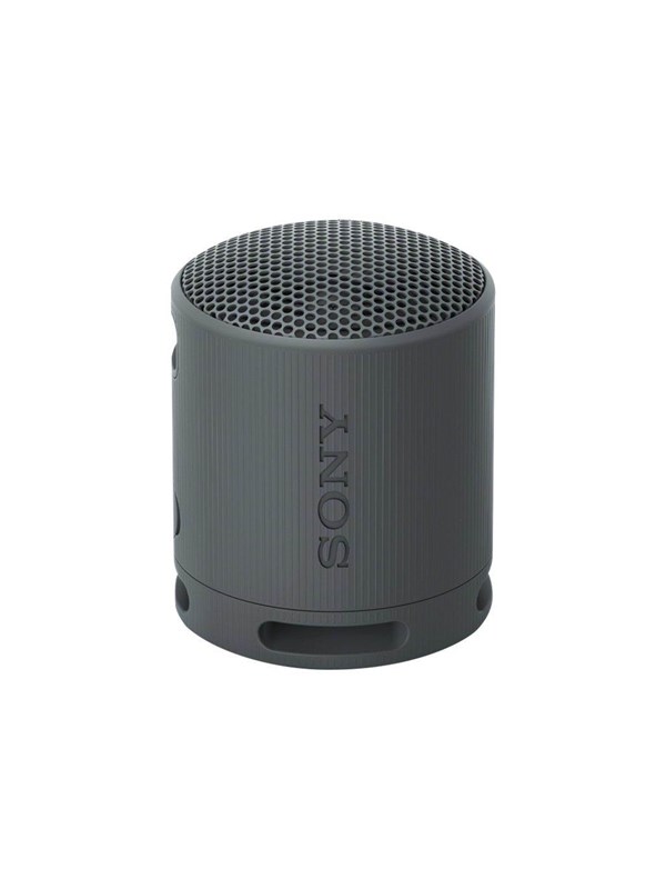 Sony SRS-XB100