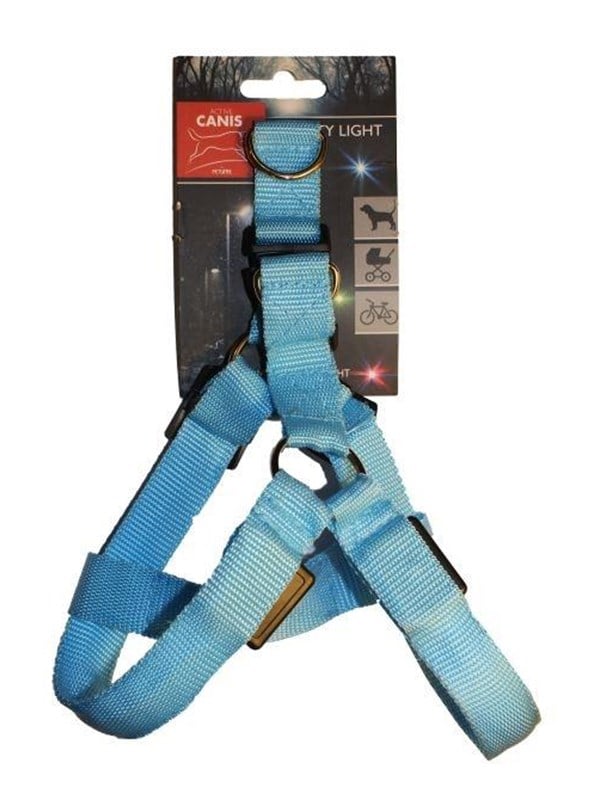 Active Canis LED-valjaat L sininen
