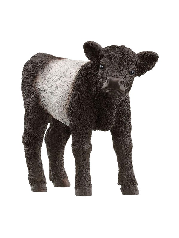 Schleich Galloway-vasikka