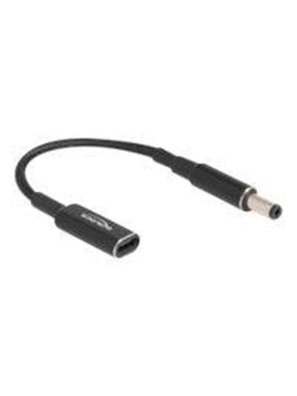 DeLOCK - power adapter - 24 pin USB-C to DC jack 5.5 x 2.1 mm - 15 cm