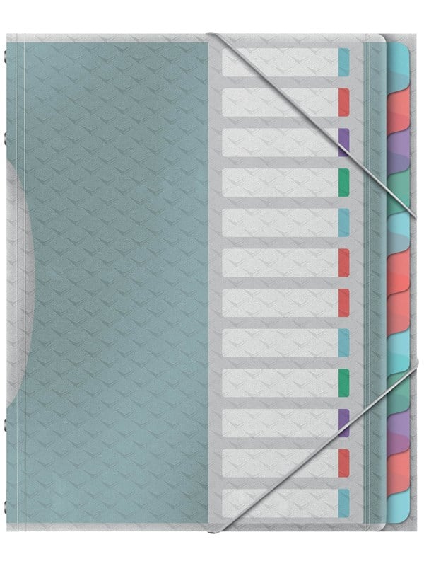 Esselte Colour'Breeze Esijärjestin PP 12 välilehteä