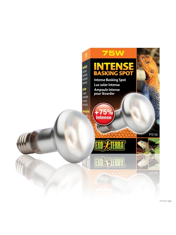 EXO TERRA Sun Glo Intense Basking Spot 75 w. w/UVA
