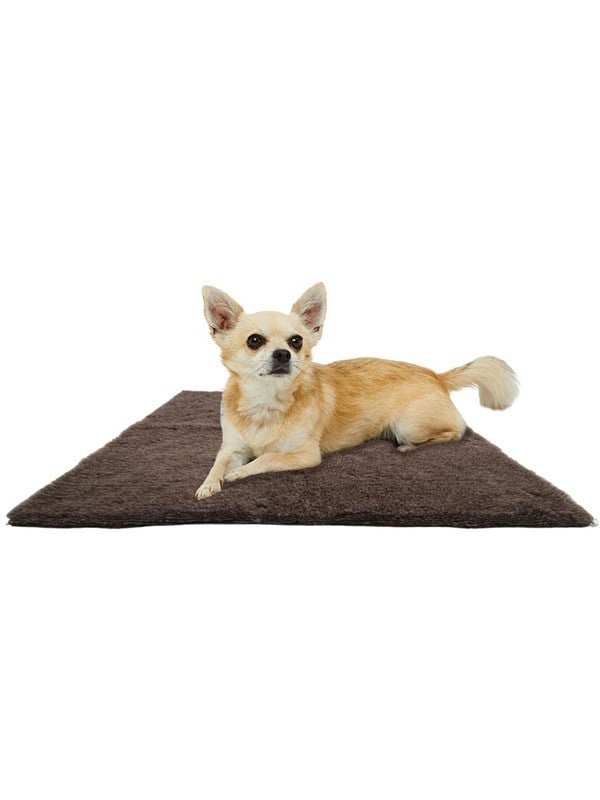 Active Canis Ruskea vetbed 100x150cm suuri