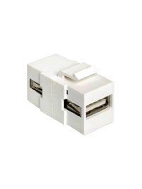 DeLOCK Modular Insert (Coupling)
