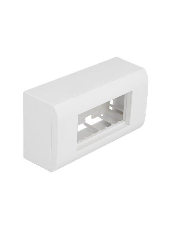 DeLOCK Easy 45 - Surface Mounted Box - White RAL 9003