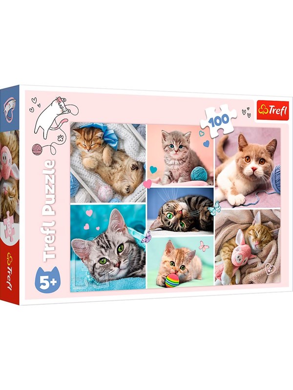 Trefl Puzzle - In the cat world (100 pieces) Lattia