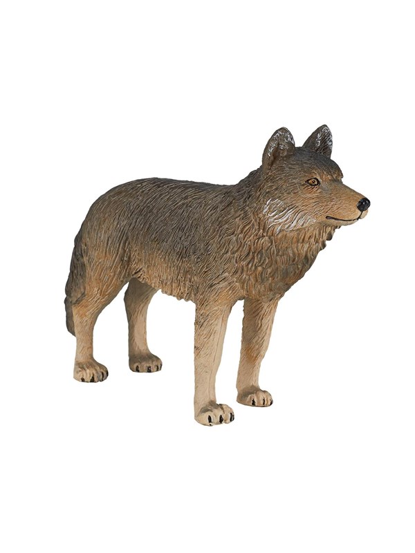 Mojo - Wildlife Timber Wolf Standing
