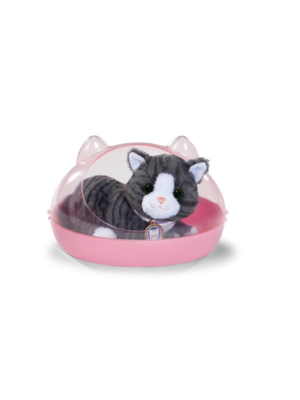 Baby Born My Cat Cookie with Box