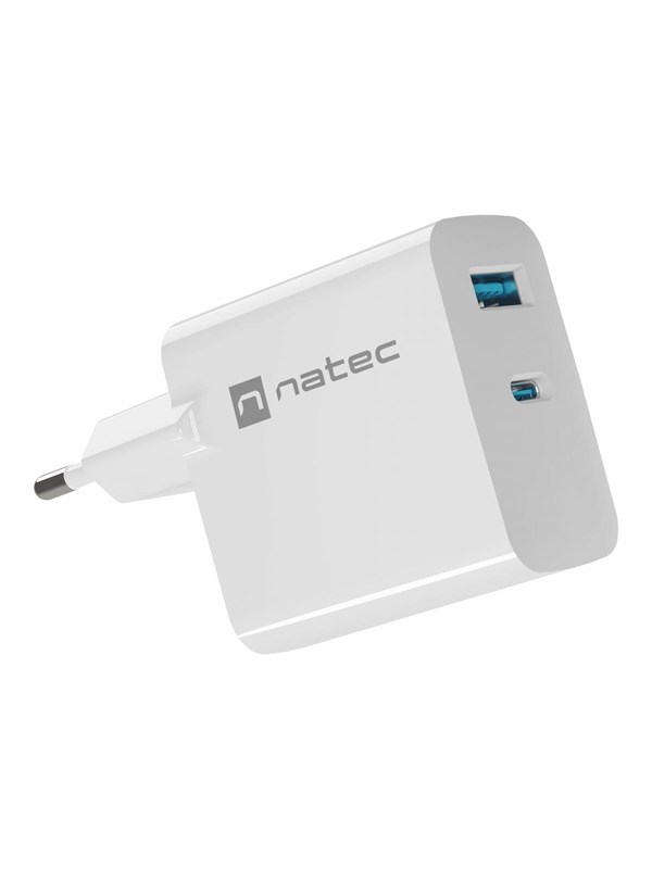 Natec Ribera power adapter - GaN - USB 24 pin USB-C - 45 Watt