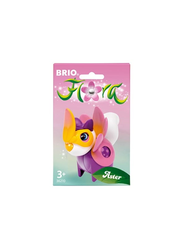 Brio Aster-kukka-asu