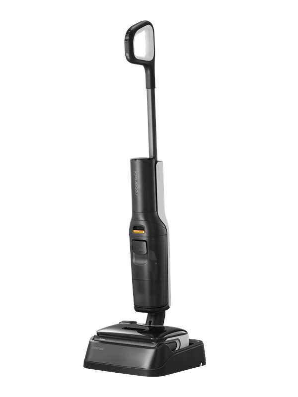 Roborock 2 in 1 Pölynimuri F25 - Black