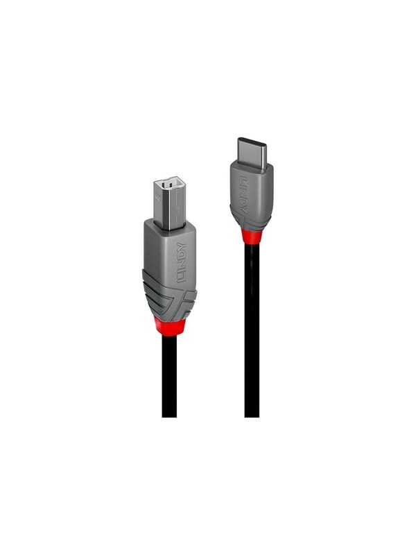 Lindy - USB-C cable - 24 pin USB-C to USB Type B - 3 m