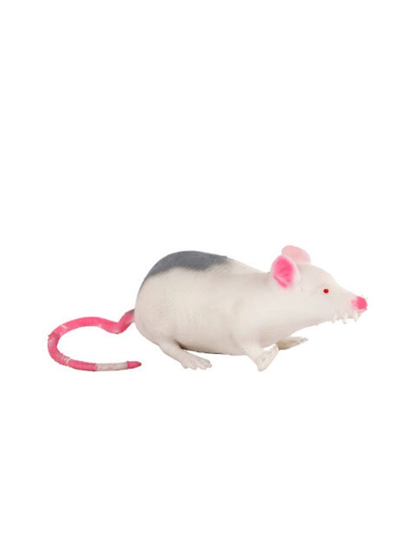 Pocket Money Stretchy Mouse 12cm