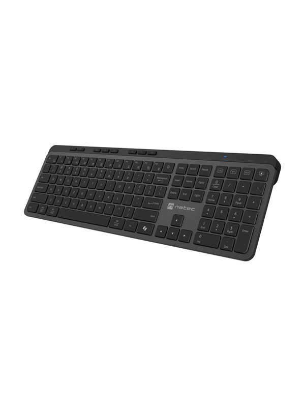 Natec MEDUSA - keyboard full size - QWERTY - US - black grey Input Device - Näppäimistö - Englanti (US) - Harmaa