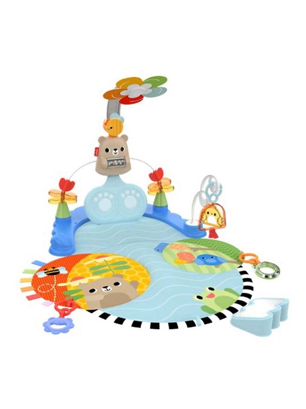 Fisher Price Fisher-Price baby gym/play mat