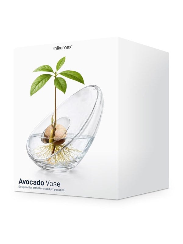 Mikamax Avocado Vase