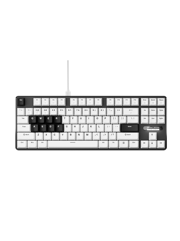 Pulsar PCMK 3 HE TKL - Pelinäppäimistö - ilman numpadia - Englanti (US) - Valkoinen