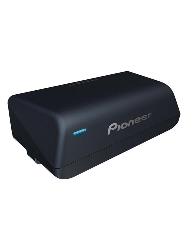 Pioneer TS-WX010A car subwoofer