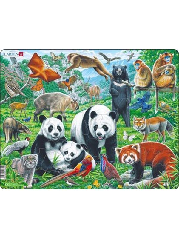 Larsen Puzzles Puzzle Chinese wildlife - 56 pieces Maxi (36.5x28.5 cm) Lattia