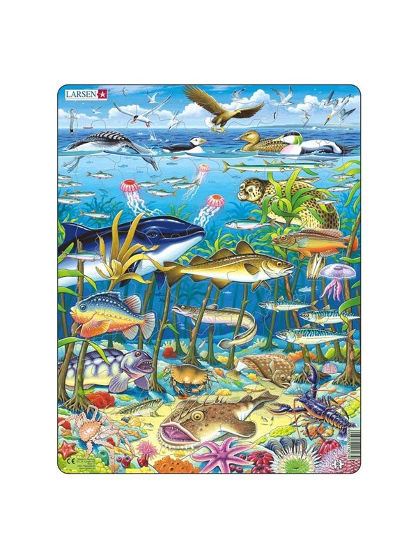 Larsen Puzzles Puzzle Marine Life in the North Atlantic - 60 pieces Maxi (36.5x28.5 cm) Lattia