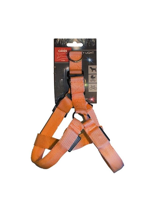 Active Canis Led light harness s orange