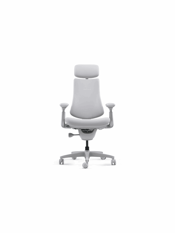 LiberNovo Omni Ergonomic Chair - 48cm Space Gray - Harmaa - Jopa 135 kg