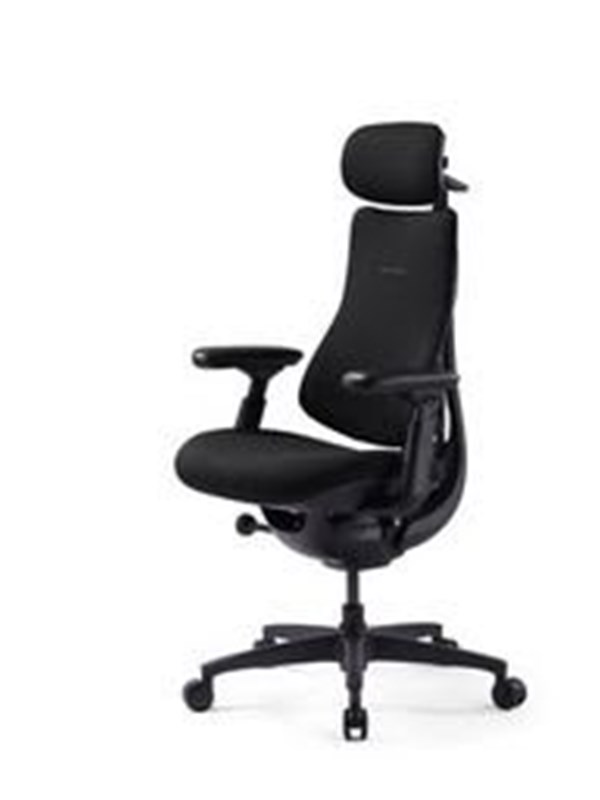 LiberNovo Omni SE Dynamic Ergonomic Chair - Musta