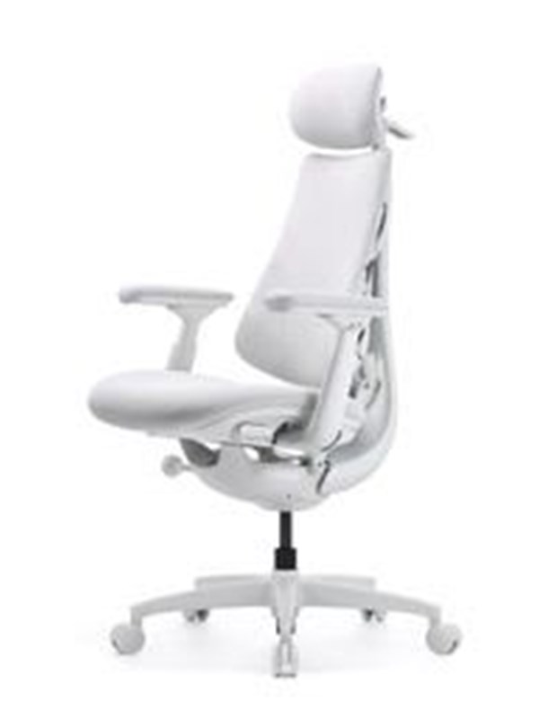 LiberNovo Omni Gen Dynamic Ergonomic Chair Pelituoli - Valkoinen
