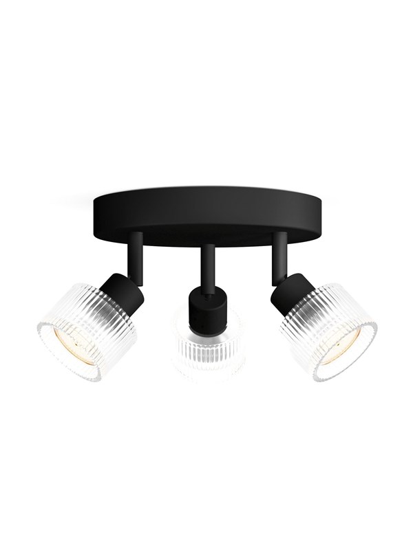 Philips Horen Spot 3x5W plate BL HV