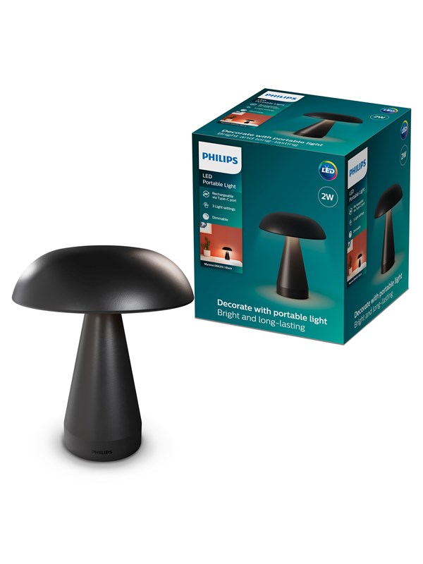 Philips Mycena DSK215 2W 30-65K B USB