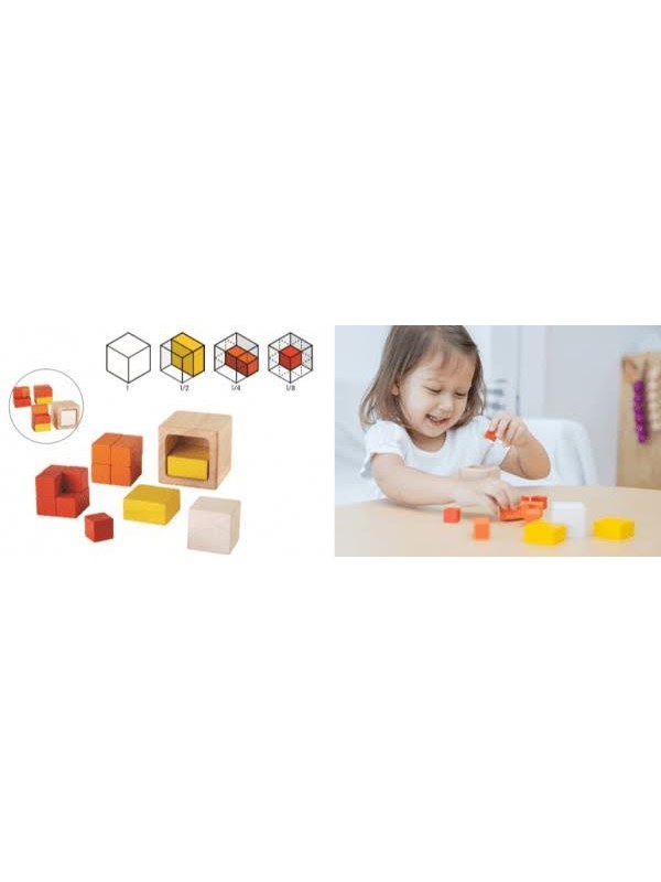 PLANTOYS Cubes
