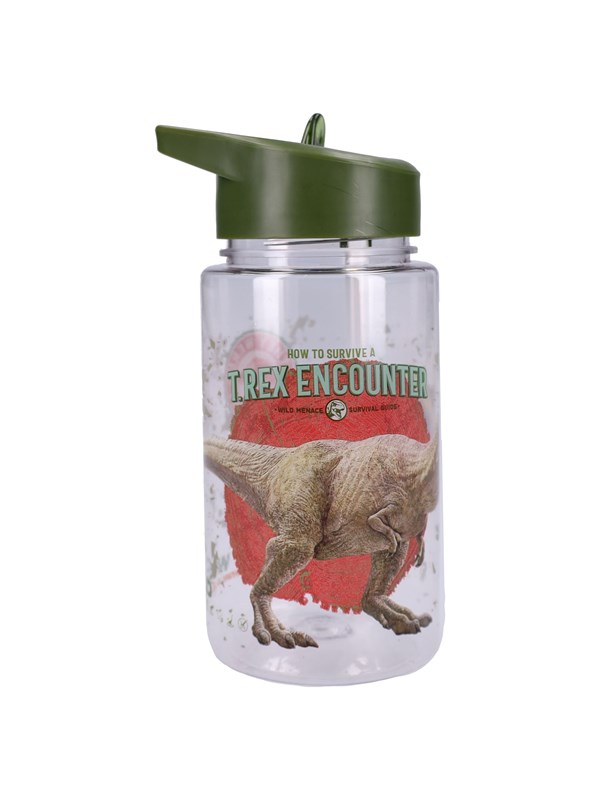 Jurassic World Drinking bottle 450ml Drink Up