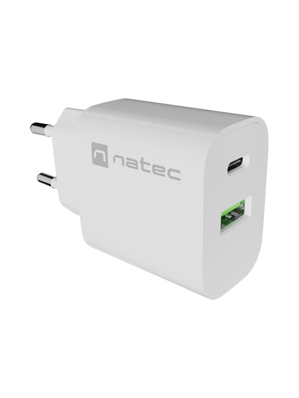 Natec Ribera power adapter - USB-C USB - 20 watt