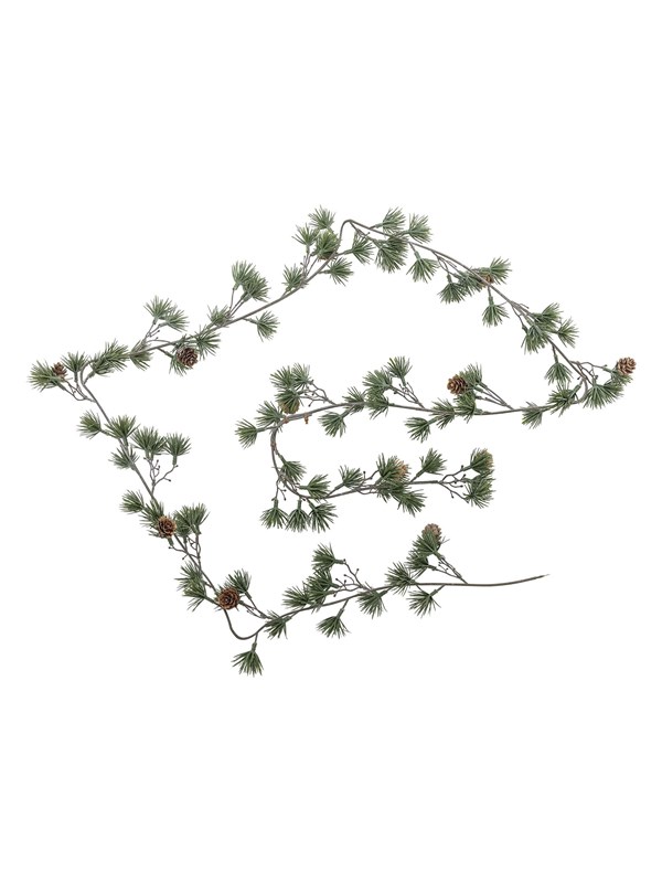 Bloomingville Cedar